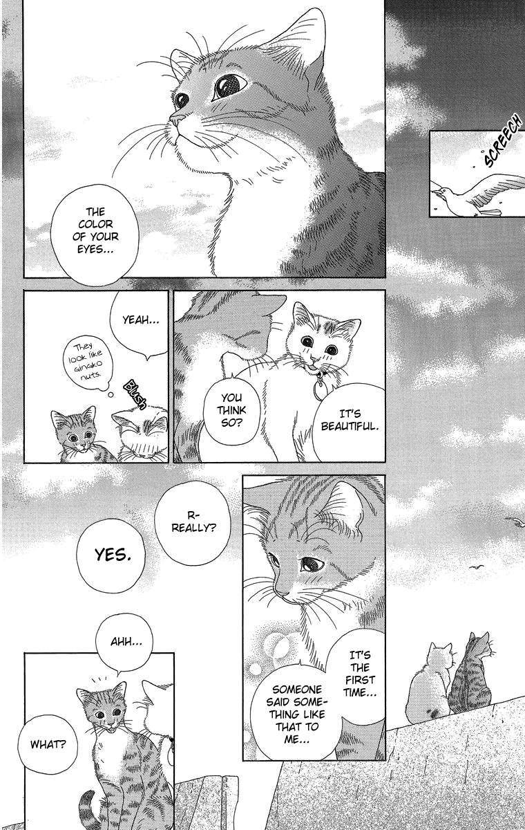 Zoccha No Nichijou Chapter 20 #14