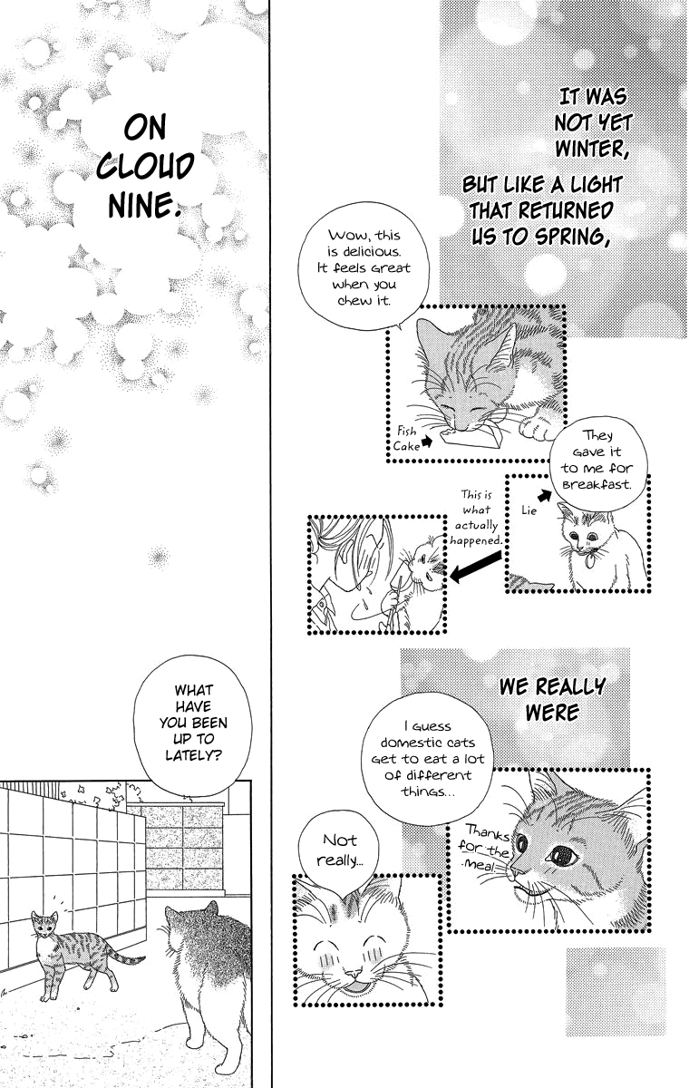 Zoccha No Nichijou Chapter 20 #17