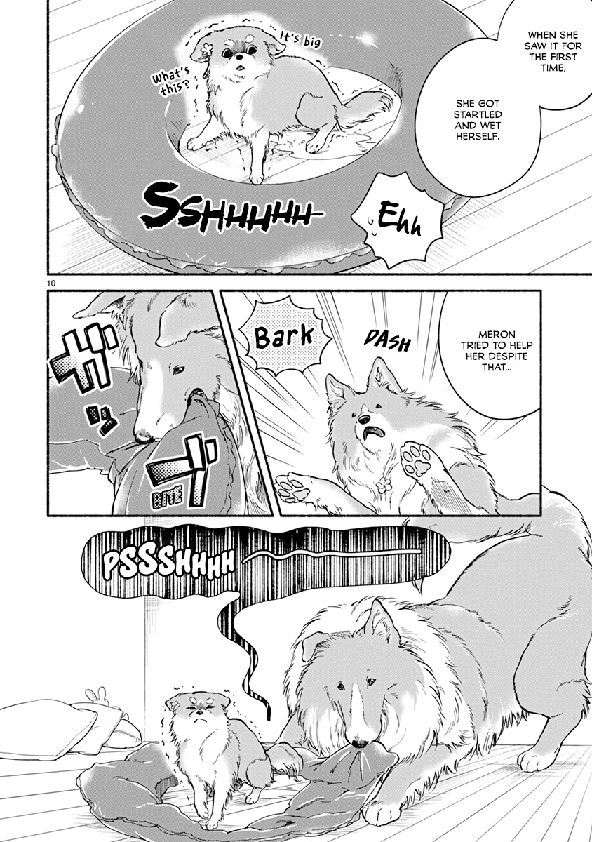 One Room Doggy Chapter 14 #12