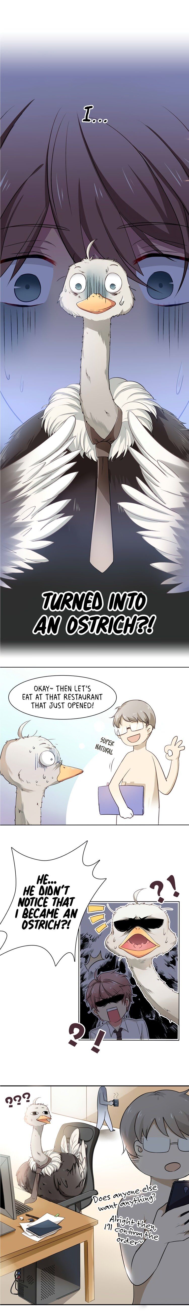 Mr. Ostrich Chapter 1 #5