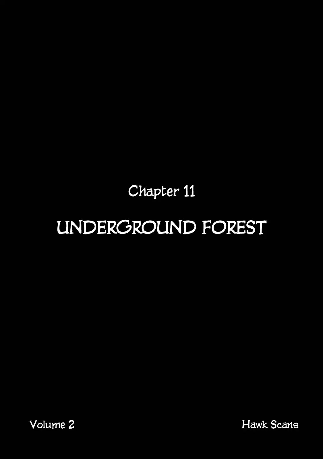 Journey To The Center Of The Earth Chapter 11 #1