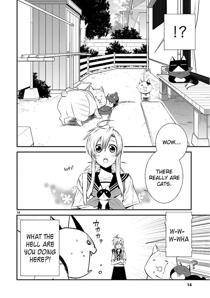 Nyankoi! Chapter 32 #16