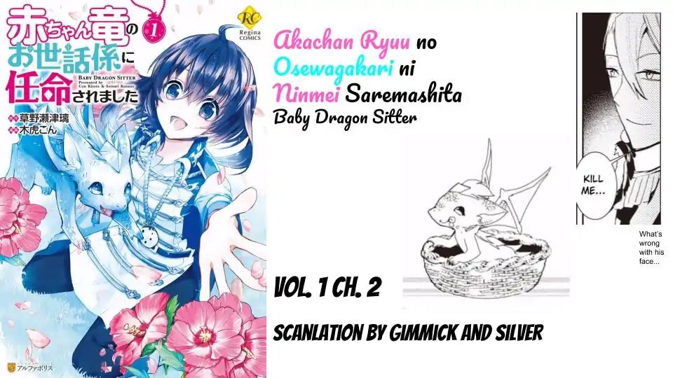 Akachan Ryuu No Osewagakari Ni Ninmei Saremashita Chapter 2 #21