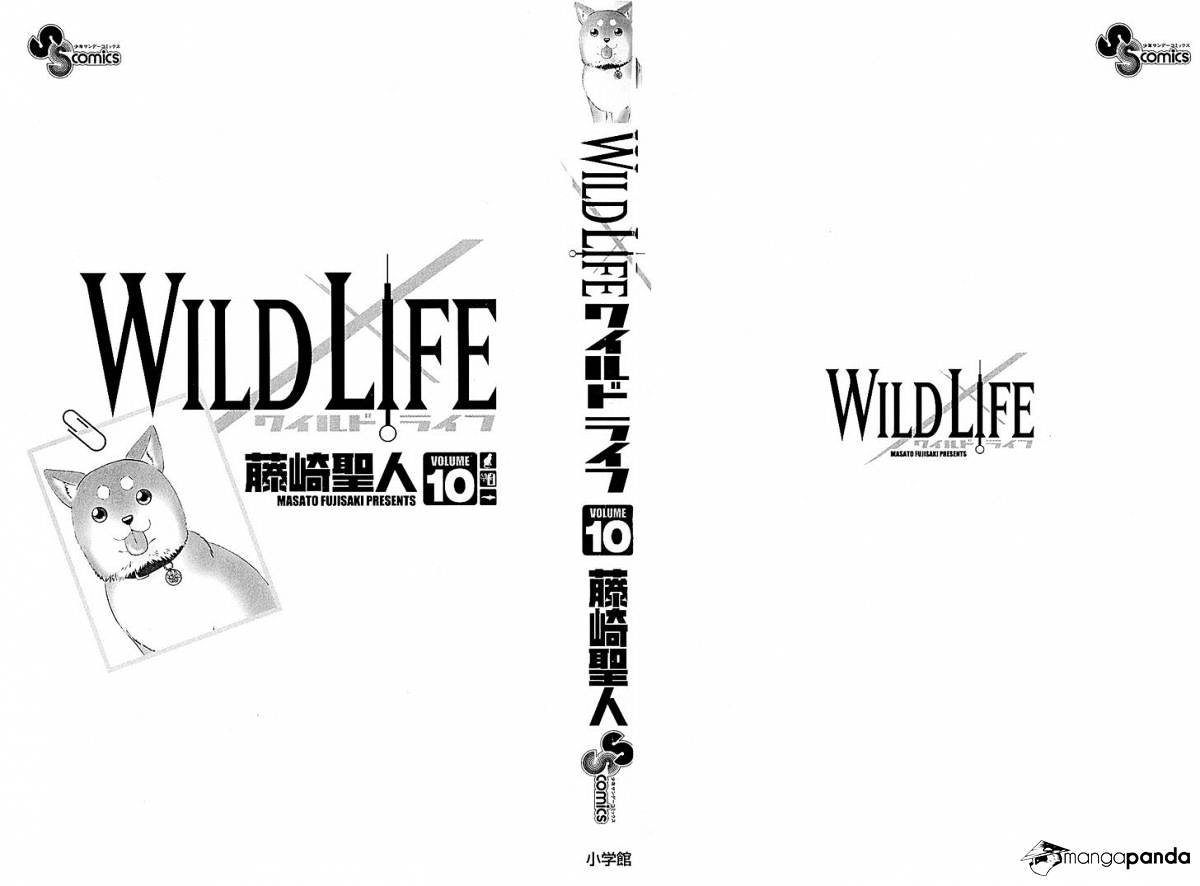 Wild Life Chapter 78 #3