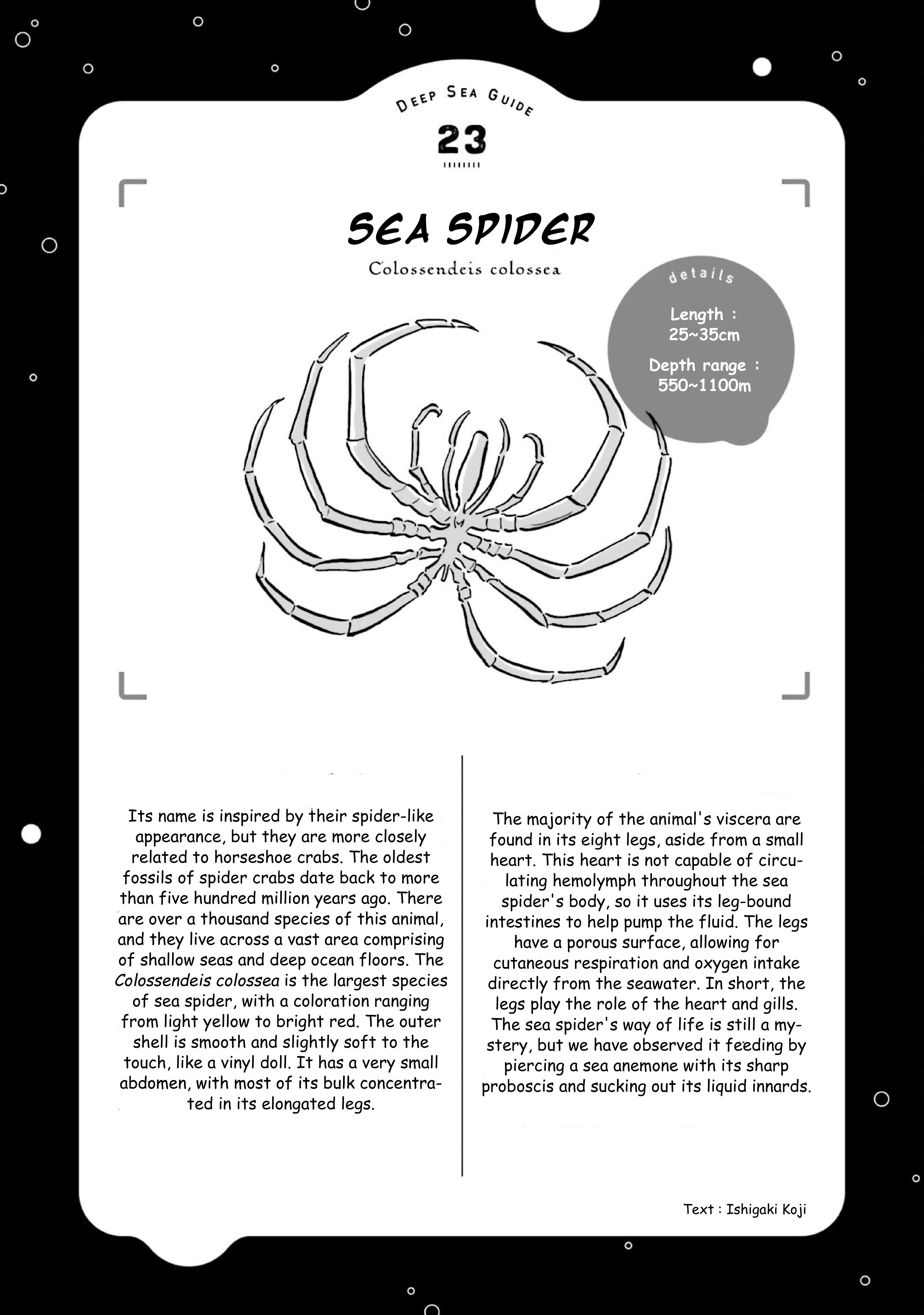 Deep Sea Aquarium Magmell Chapter 27 #35