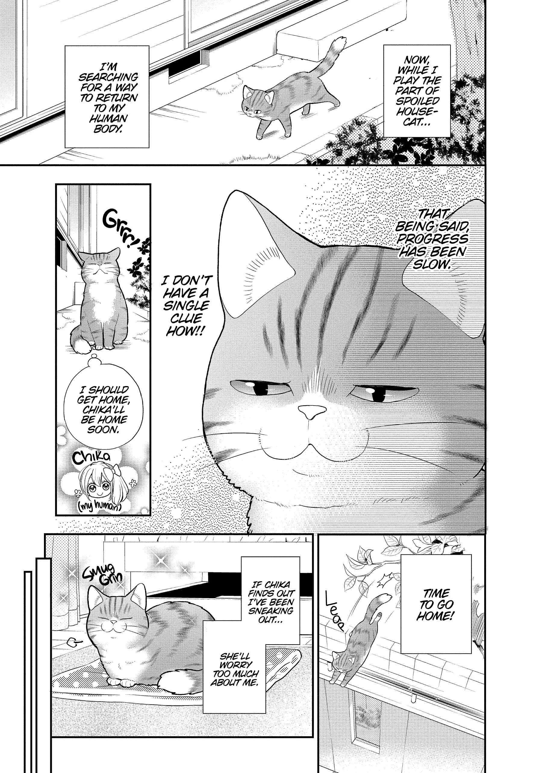 My New Life As A Cat Chapter 20 #4