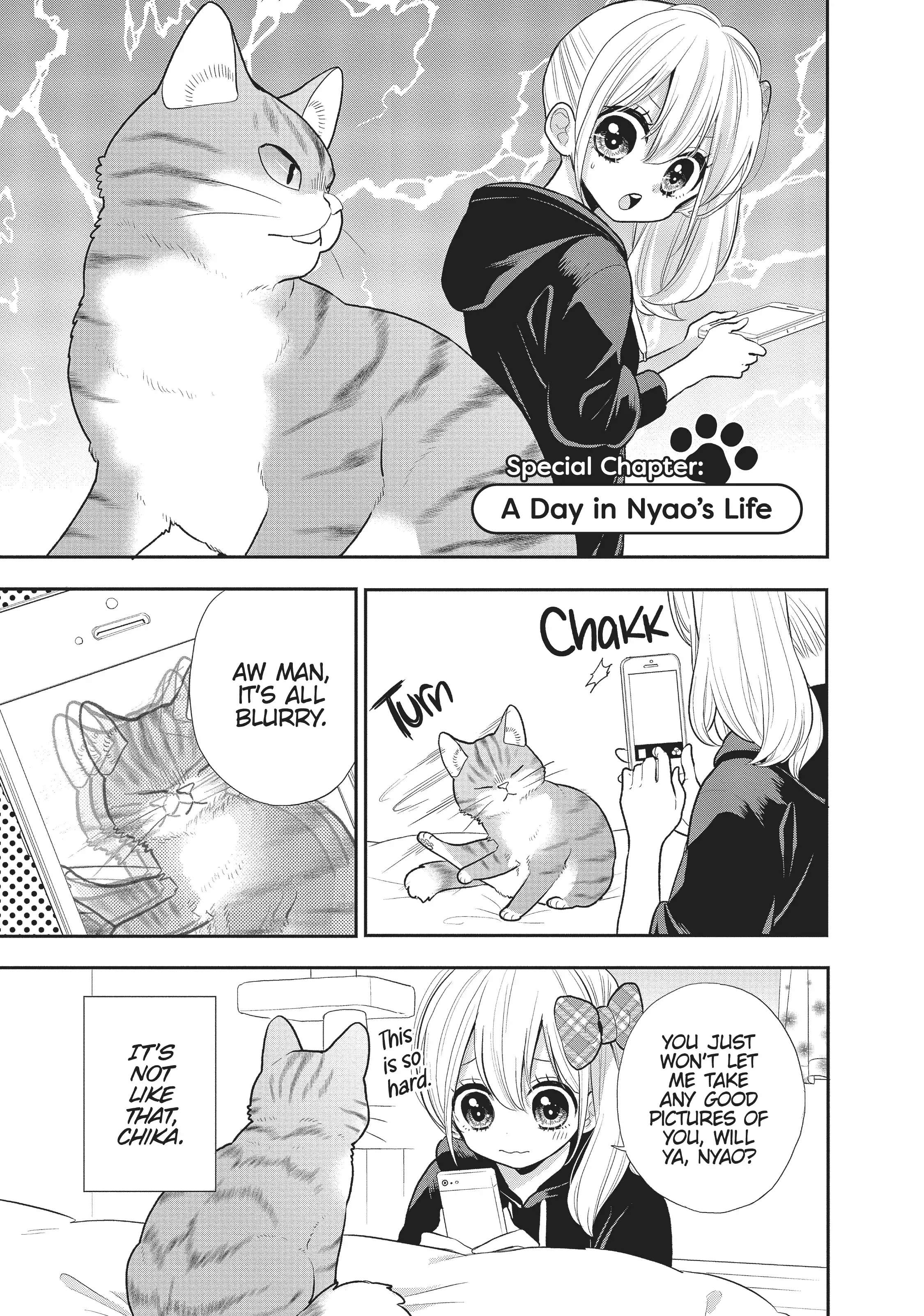 My New Life As A Cat Chapter 10.5 #2