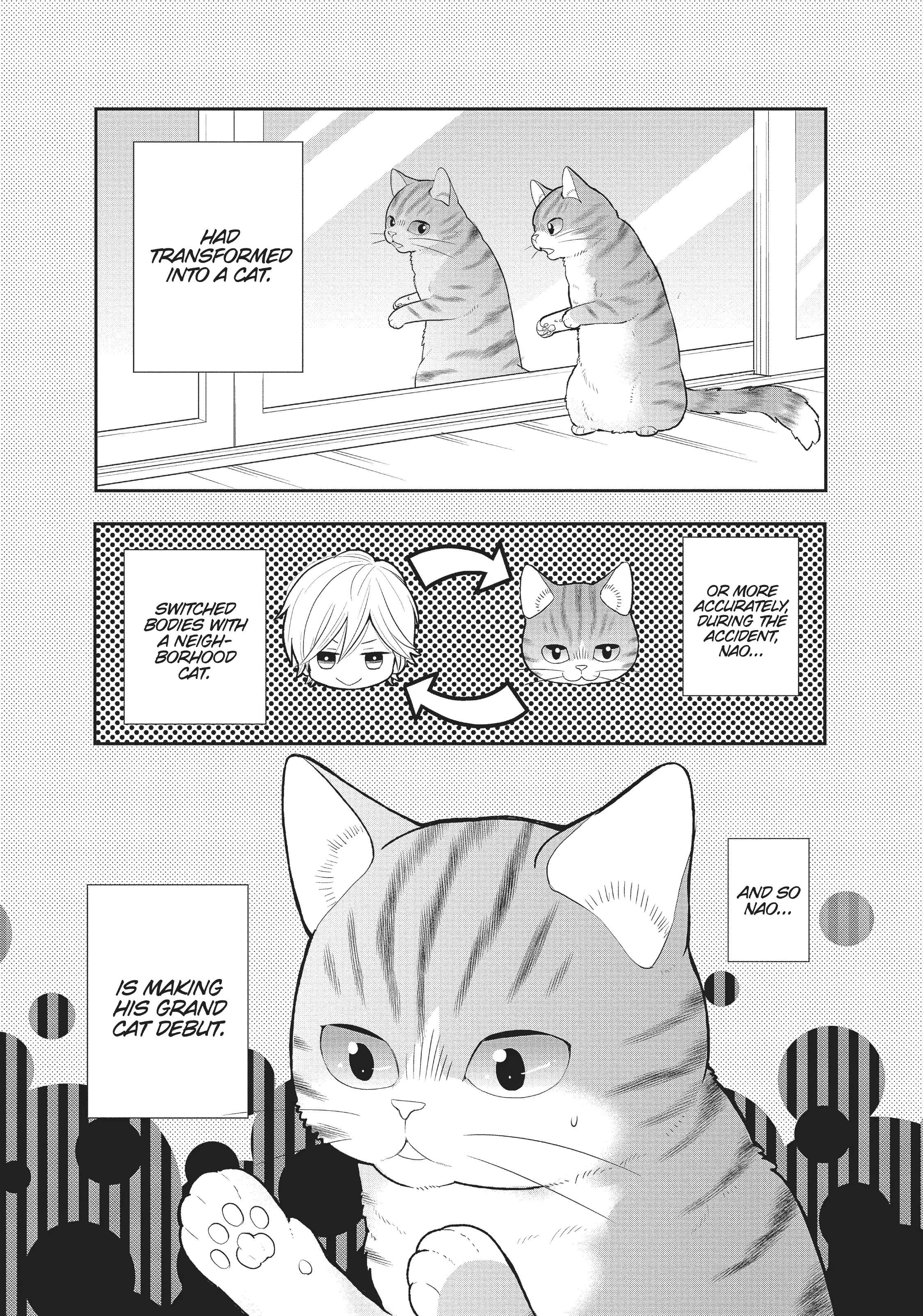 My New Life As A Cat Chapter 9 #3