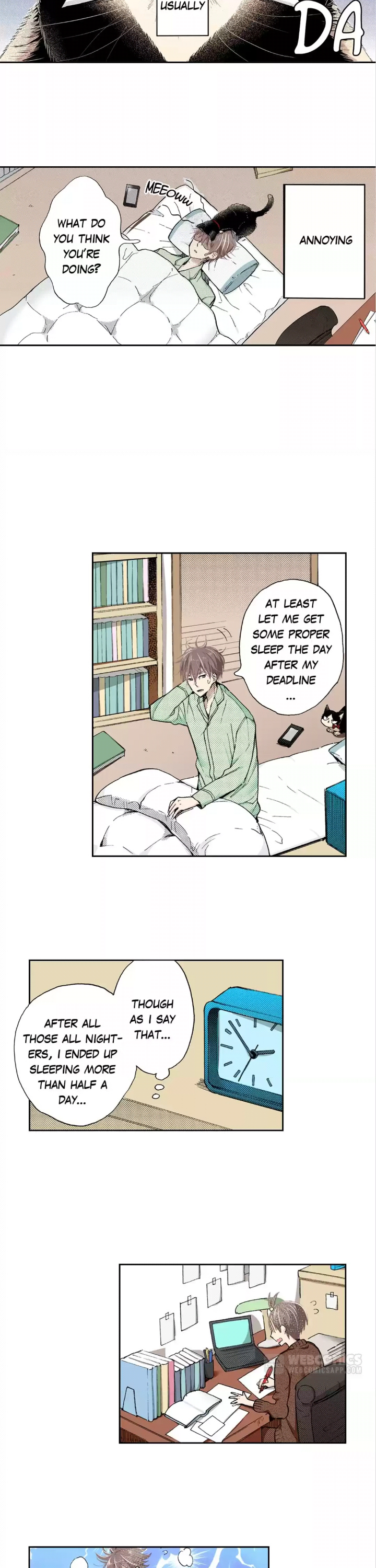 My Roommate Is A Cat Chapter 41 #2