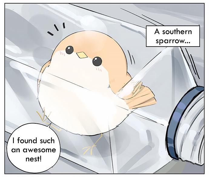 Southern Bird And Northern Bird Chapter 25 #2