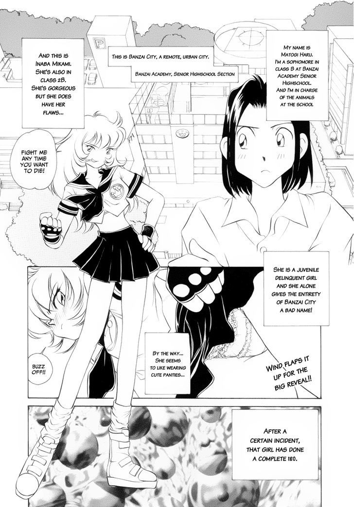 Usagi-Chan De Cue!! Chapter 2 #3