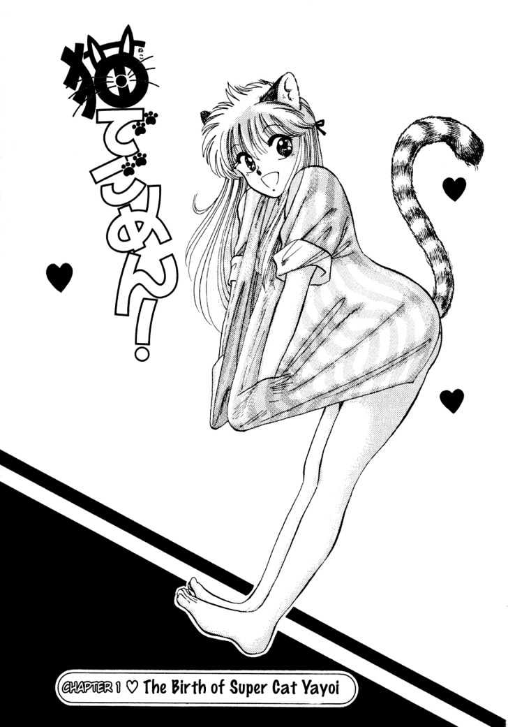 Neko De Gomen! Chapter 1 #7