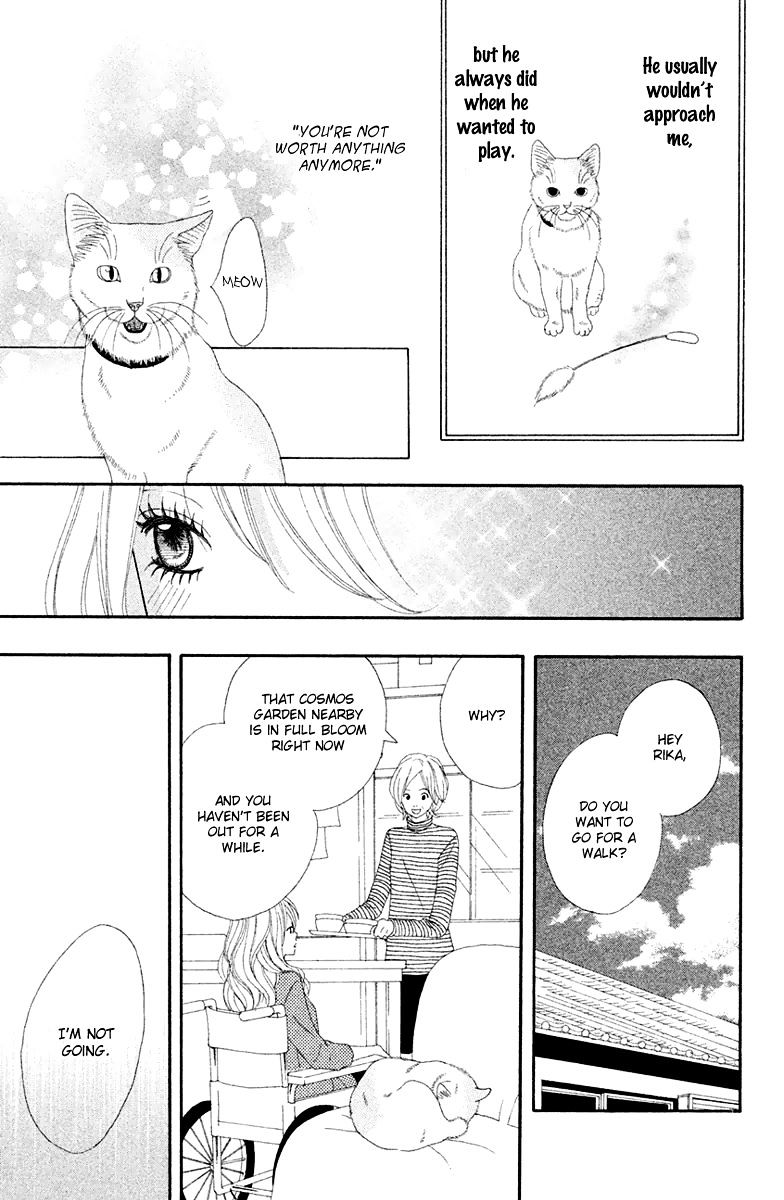 Neko To Kurasu Chapter 1 #31