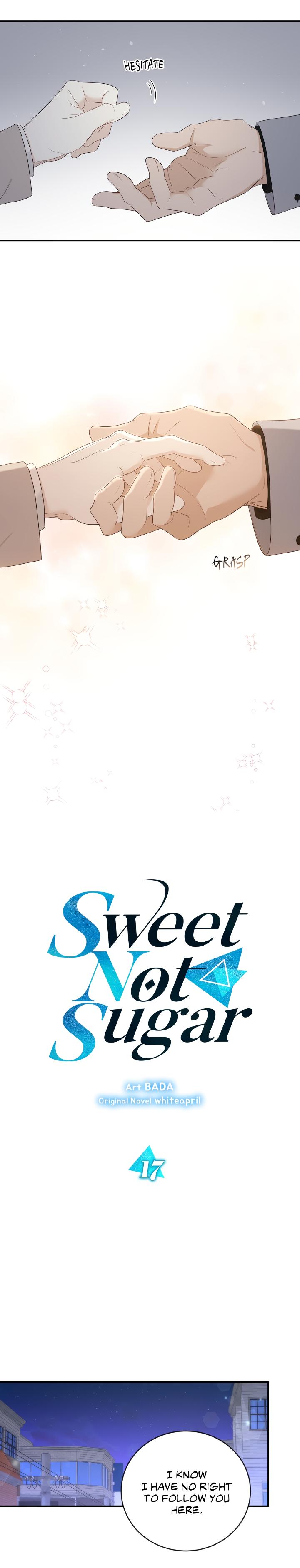 Sweet Not Sugar Chapter 17 #3