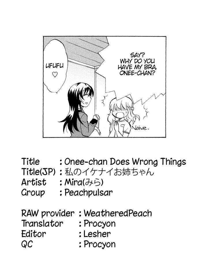 Onee-Chan Does Wrong Things Chapter 1 #17