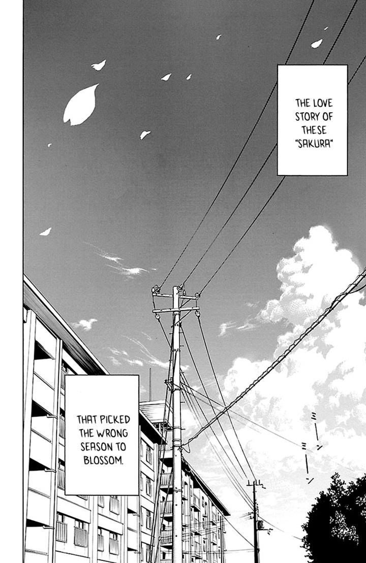 Sakura Discord Chapter 26 #24