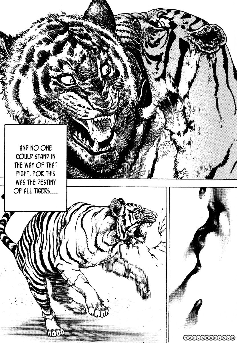 Tough Chapter 217 #6