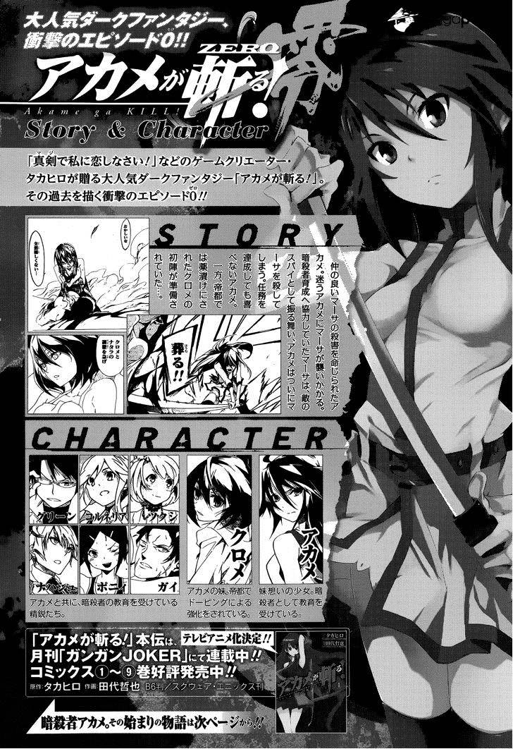 Akame Ga Kiru! Zero Chapter 5 #2