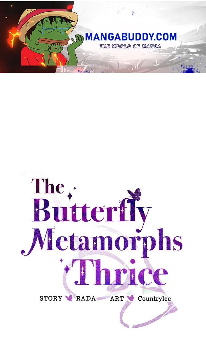 A Butterfly Metamorphoses Three Times Chapter 9 #1