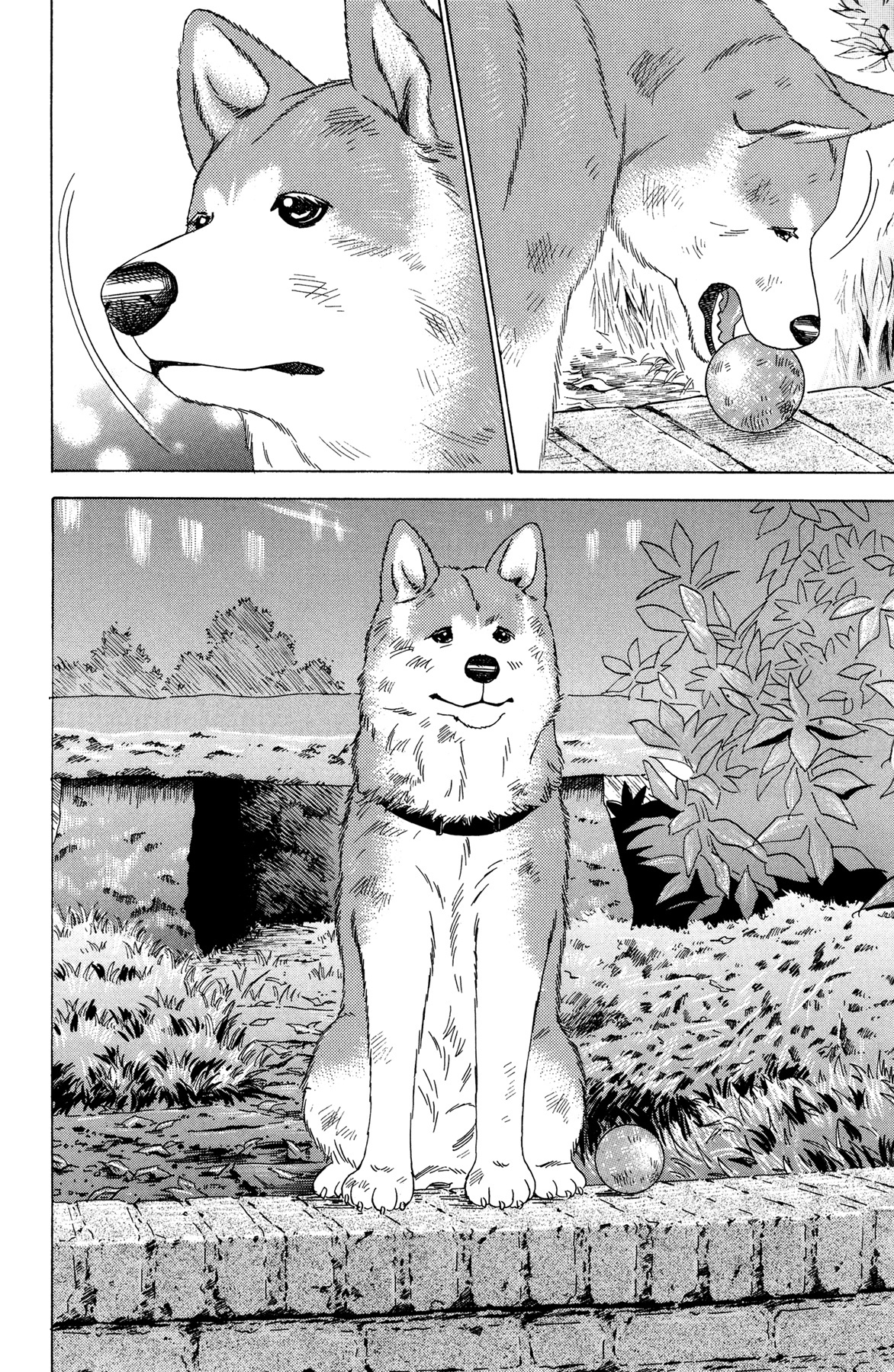 Hachi: A Dog's Tale Chapter 5 #20