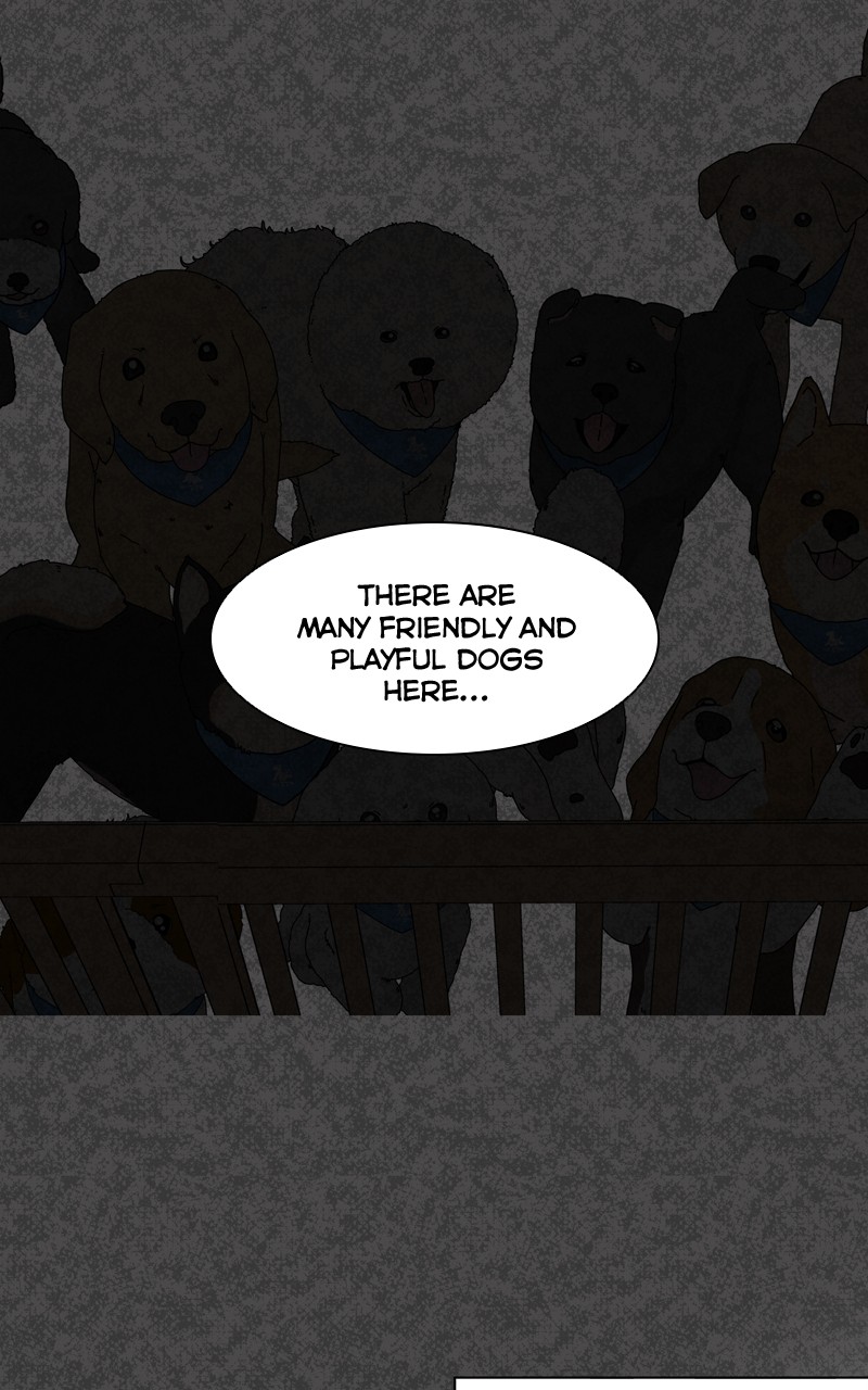 The Dog Diaries Chapter 127 #52