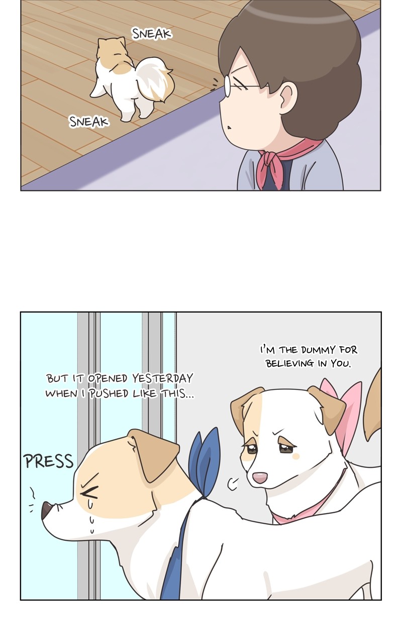 The Dog Diaries Chapter 118 #24