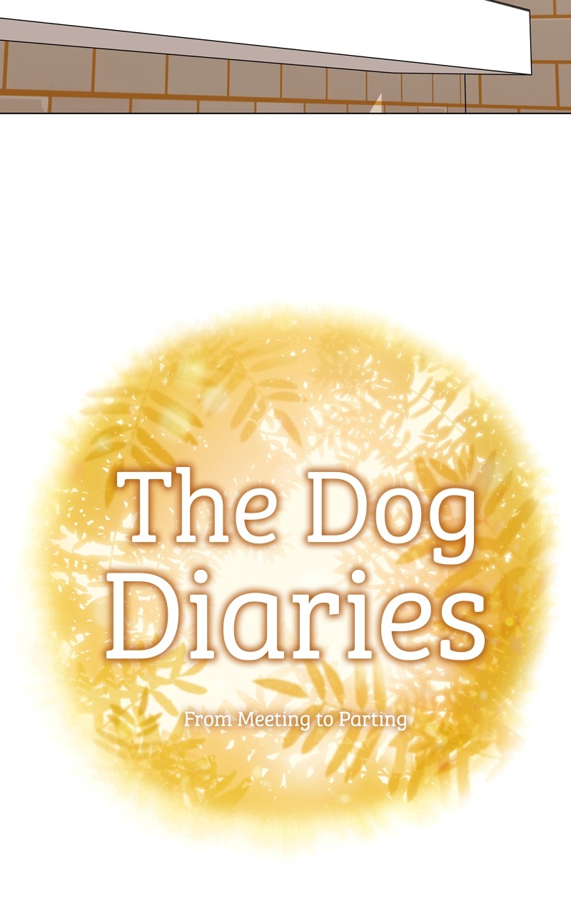 The Dog Diaries Chapter 119 #14