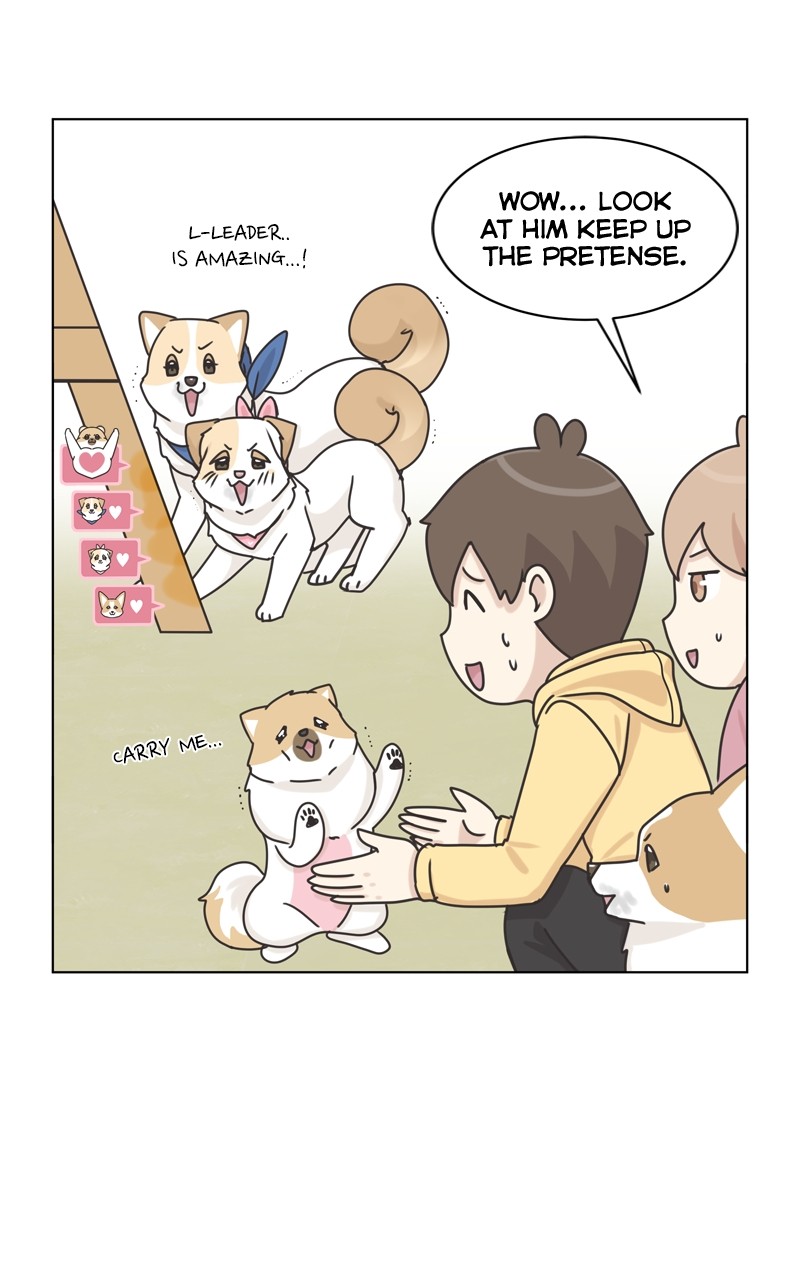 The Dog Diaries Chapter 118 #69