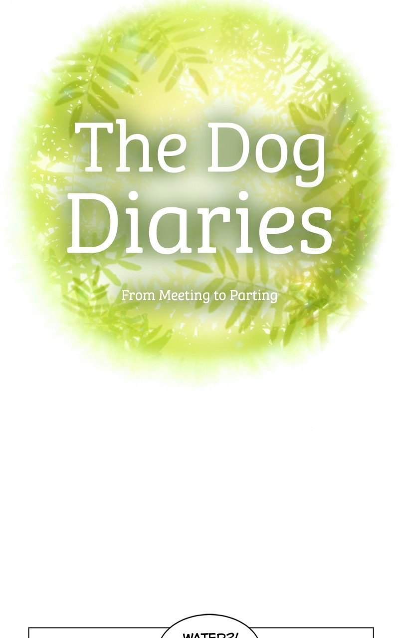The Dog Diaries Chapter 117 #10