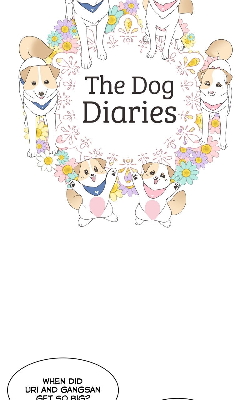 The Dog Diaries Chapter 115 #16