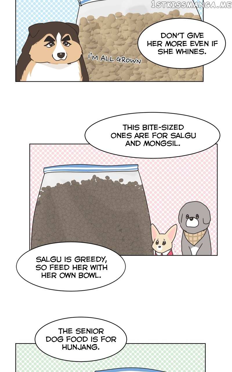 The Dog Diaries Chapter 106 #52
