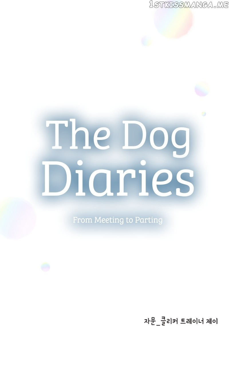 The Dog Diaries Chapter 103 #97