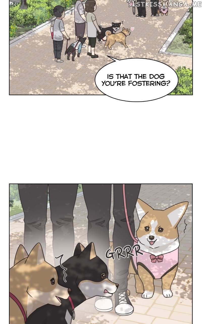 The Dog Diaries Chapter 99 #8