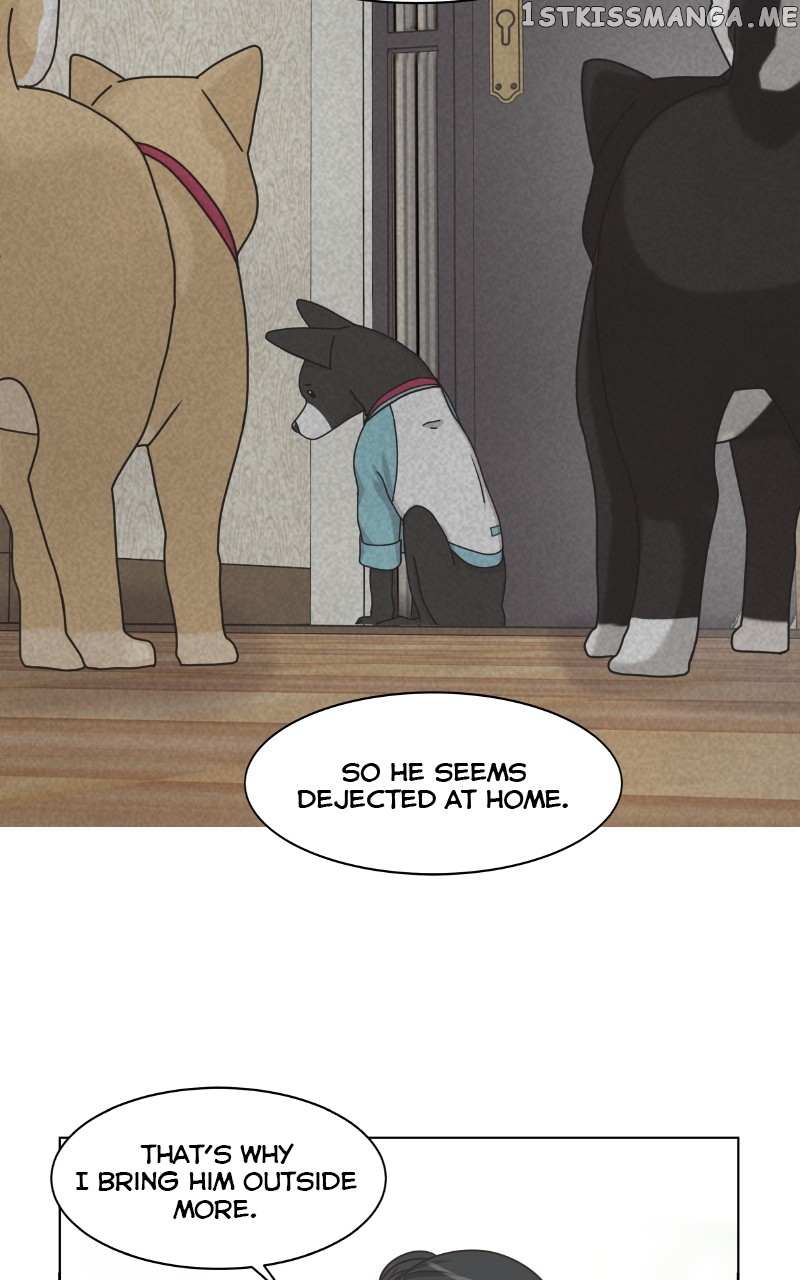 The Dog Diaries Chapter 99 #54