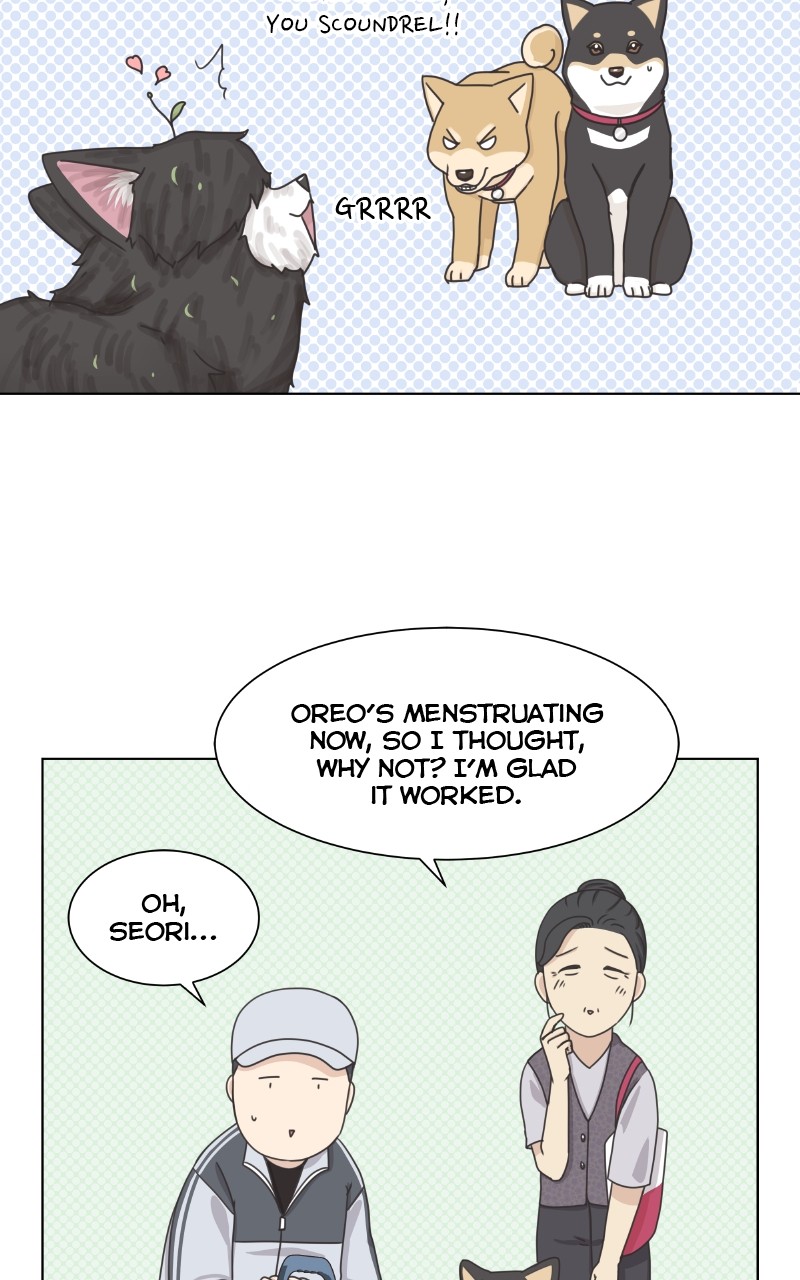 The Dog Diaries Chapter 92 #42