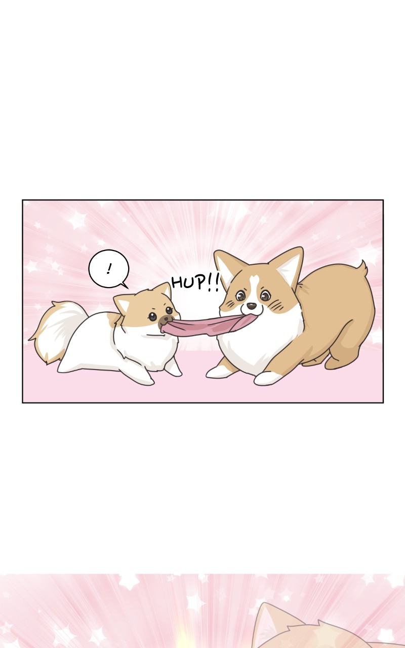 The Dog Diaries Chapter 92 #52