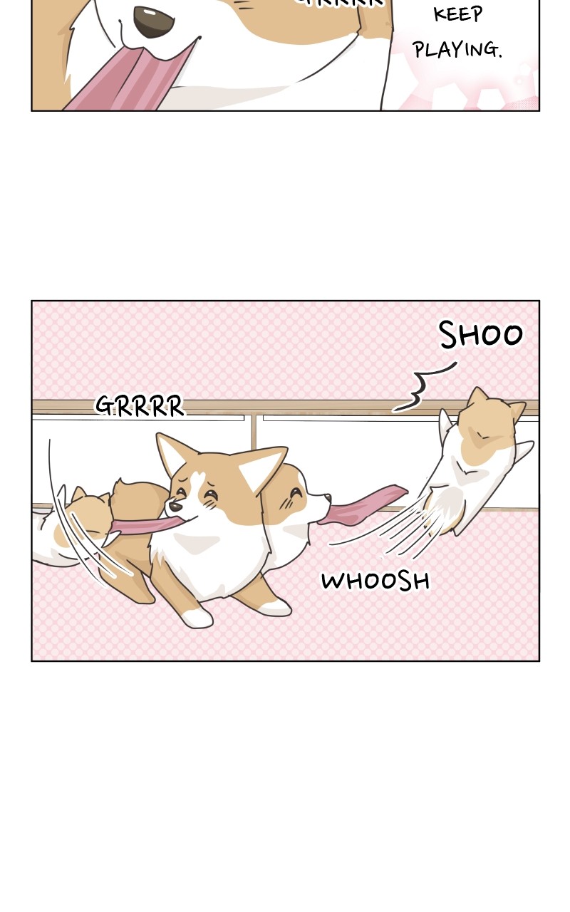 The Dog Diaries Chapter 92 #55