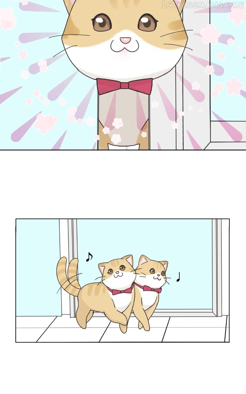The Dog Diaries Chapter 95 #33