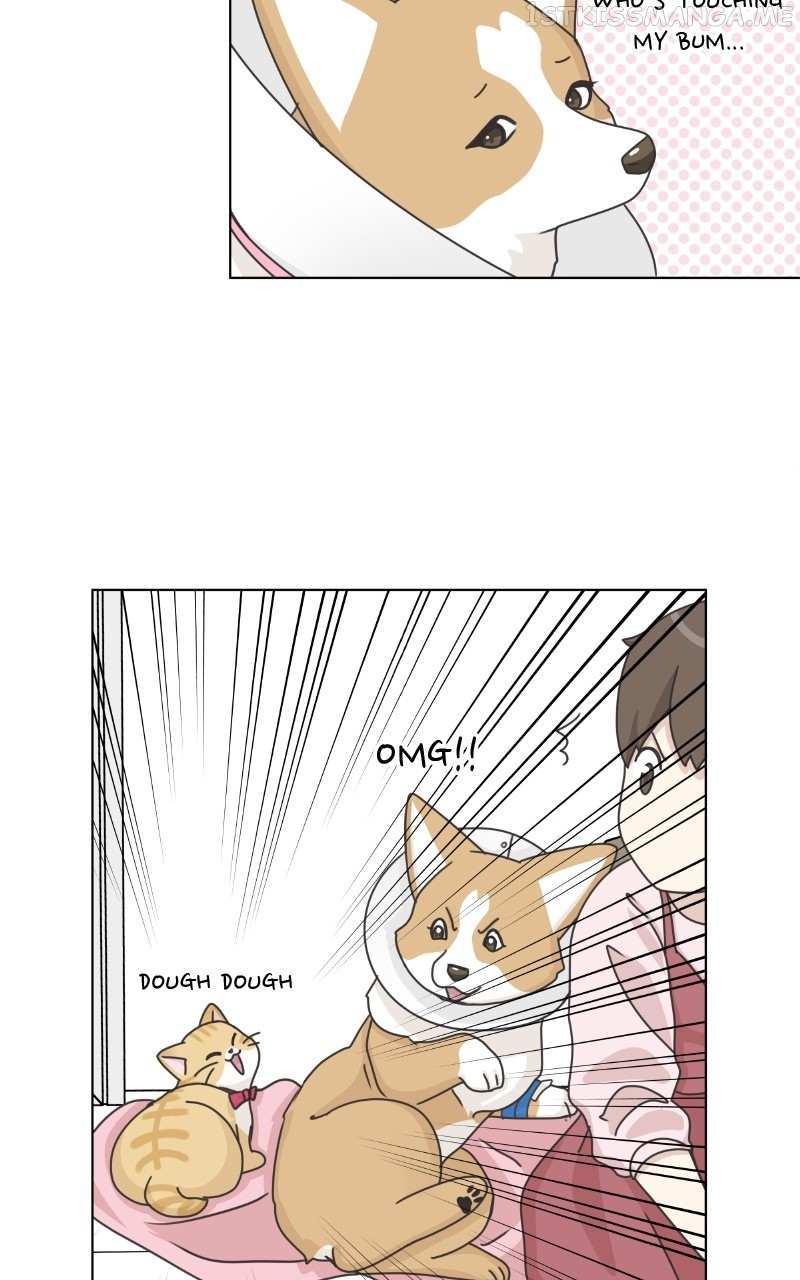 The Dog Diaries Chapter 95 #36