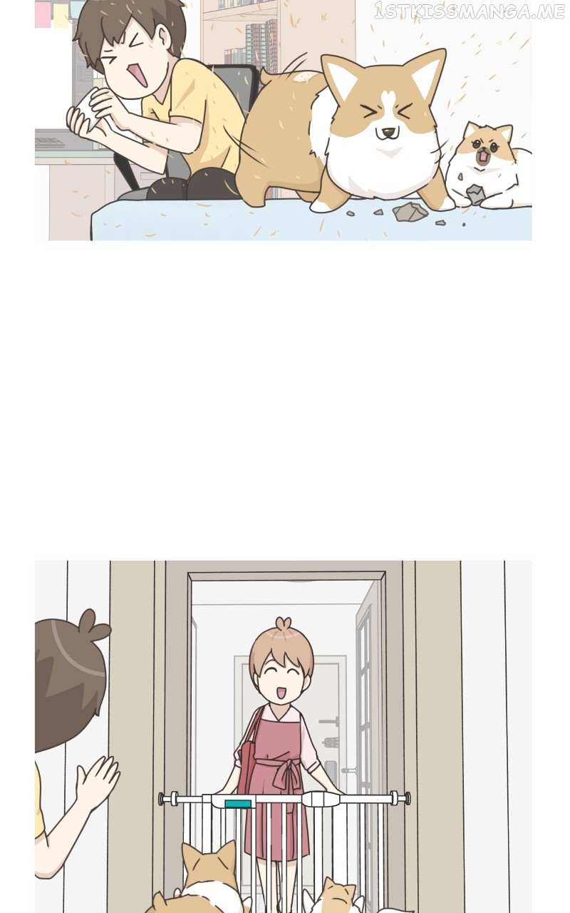 The Dog Diaries Chapter 95 #77