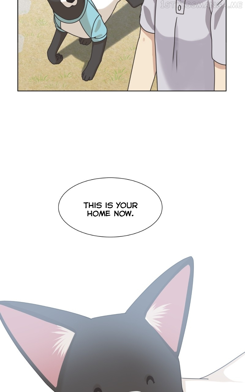 The Dog Diaries Chapter 93 #61