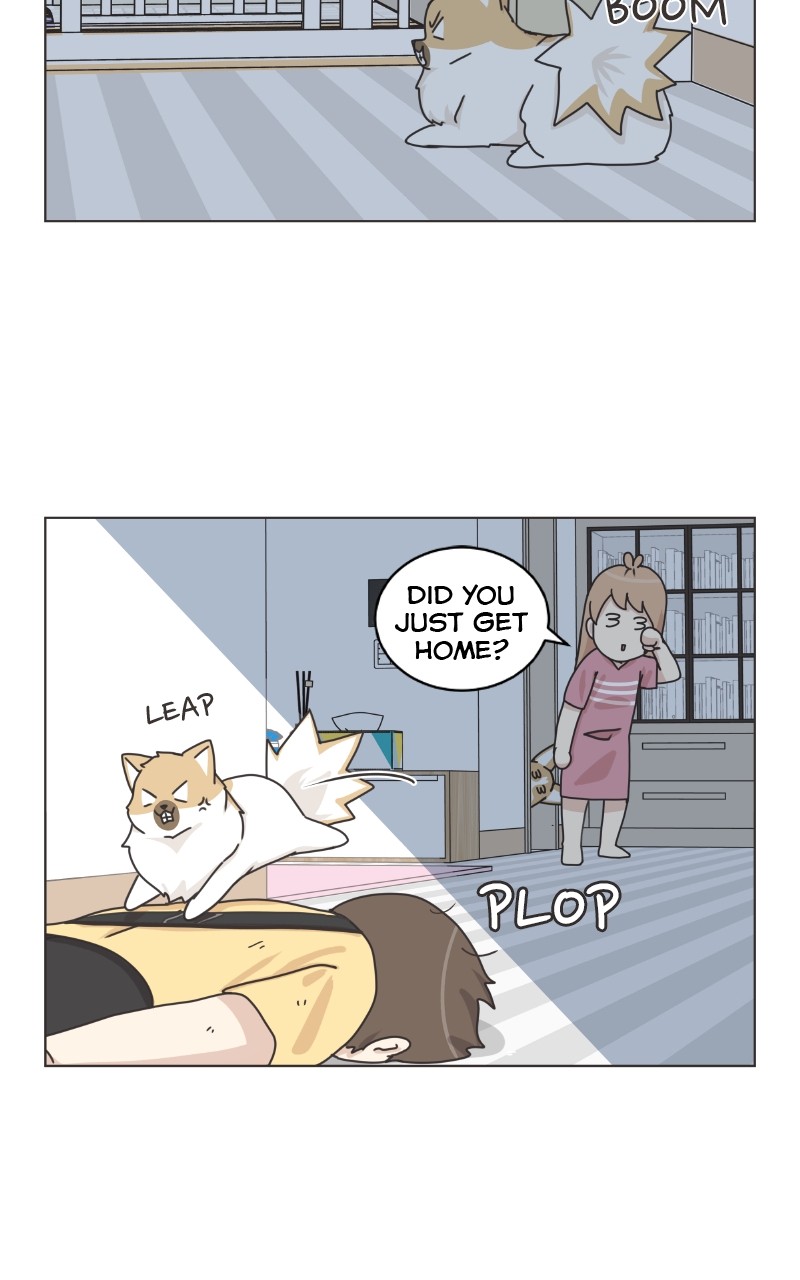 The Dog Diaries Chapter 91 #27