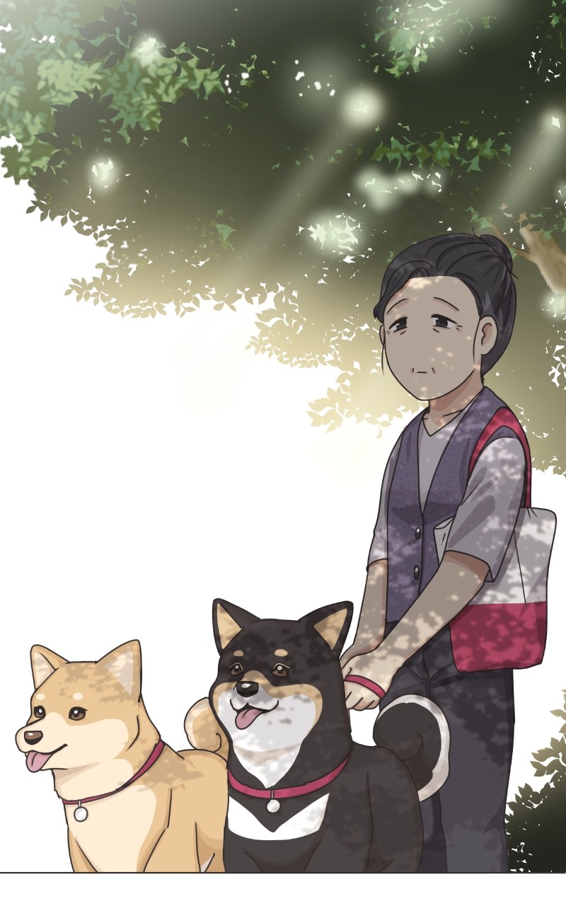 The Dog Diaries Chapter 91 #35