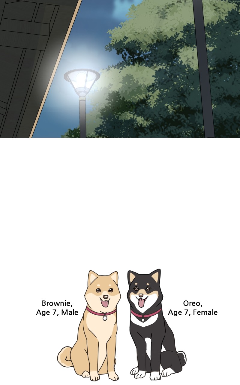 The Dog Diaries Chapter 91 #56