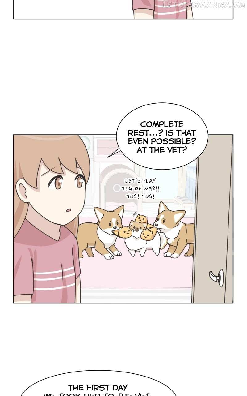 The Dog Diaries Chapter 94 #15