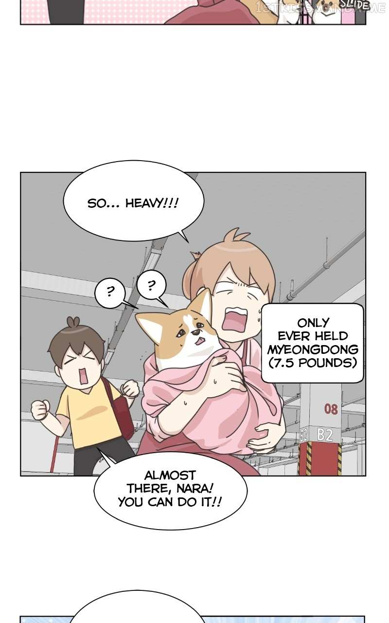 The Dog Diaries Chapter 94 #25