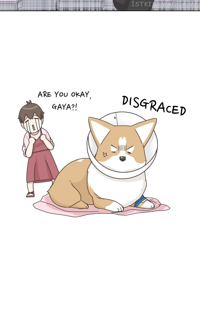 The Dog Diaries Chapter 94 #57