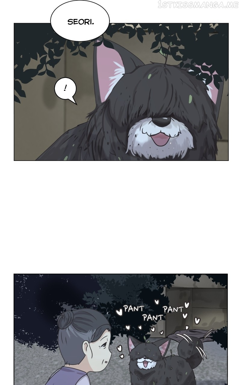 The Dog Diaries Chapter 90 #42