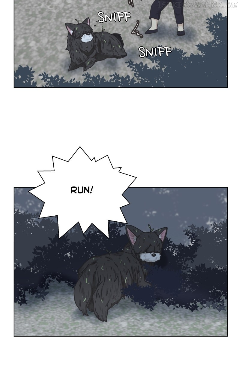 The Dog Diaries Chapter 90 #50