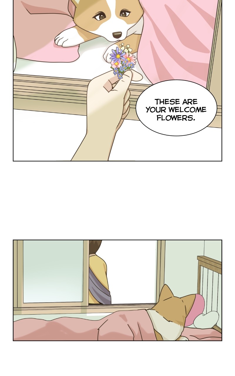 The Dog Diaries Chapter 89 #40